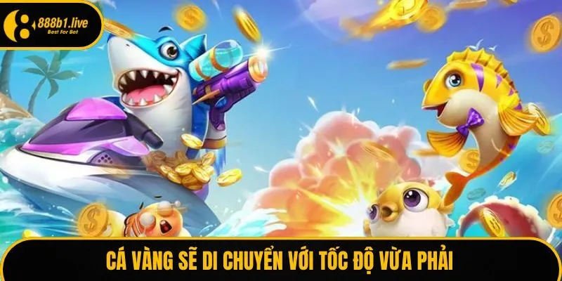 Cá vàng sẽ di chuyển với tốc độ vừa phải