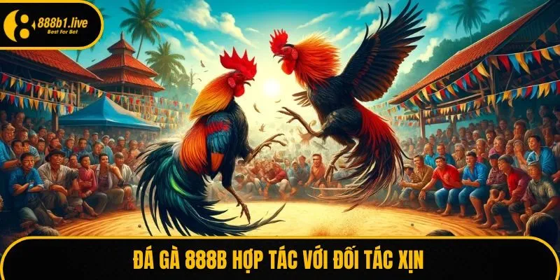 Đá gà 888B hợp tác với đối tác xịn