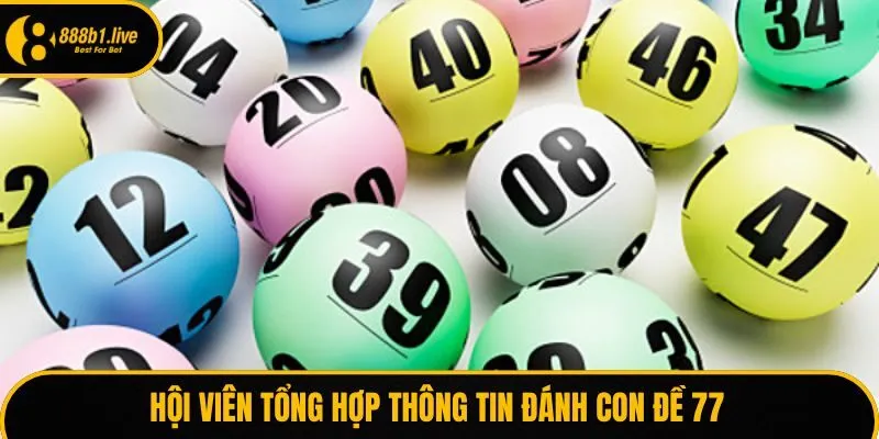 Hội viên tổng hợp thông tin đánh con lô 77