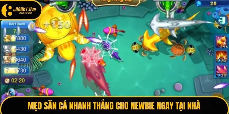 Mẹo săn cá nhanh thắng cho newbie ngay tại nhà