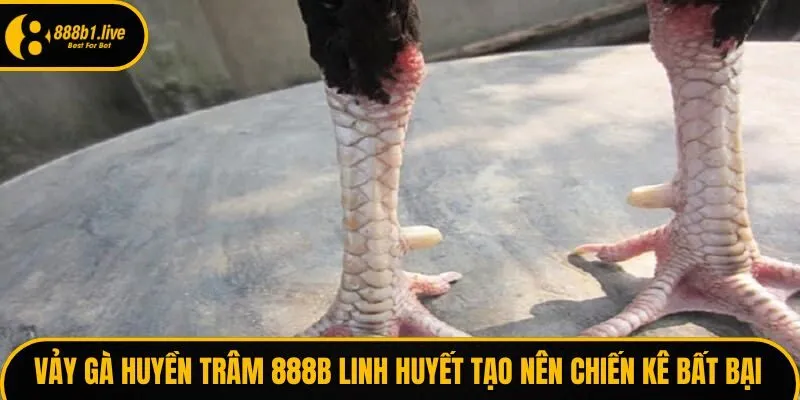 Vảy gà huyền trâm